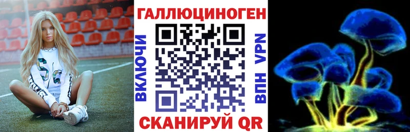 мориарти наркотические препараты  ОМГ ОМГ онион  Гурьевск  Псилоцибиновые грибы Psilocybine cubensis 